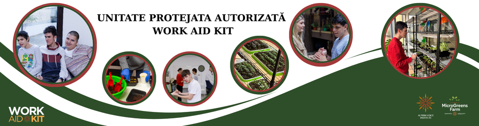 WORK AID KIT - MOBILITATE PENTRU INTEGRARE (970 x 90 px) (950 x 250 px) (2)